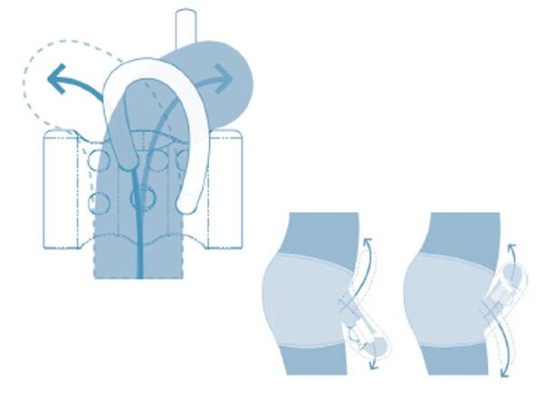 Système reproducteur de l'adolescent