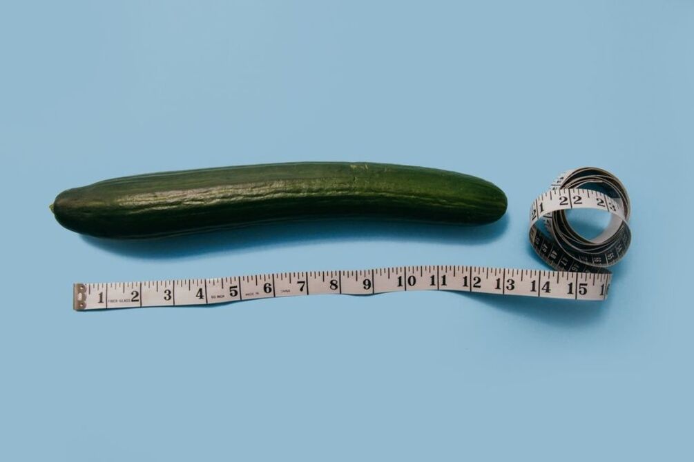 Mesure de la taille du pénis avec l'exemple de concombre
